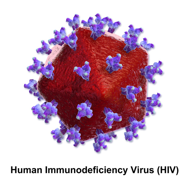 a cartoon image of what the HIV looks like