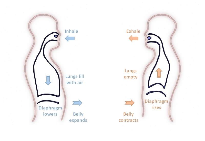 diagram of breathing instructions