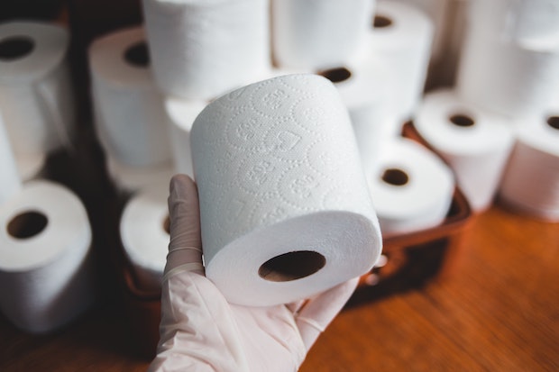 a person holding a roll of toilet paper
